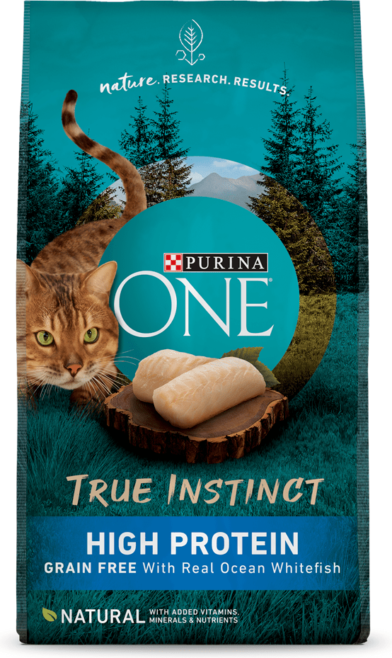 Purina ONE True Instinct Grain Free With Real Ocean Whitefish Cat Food Review